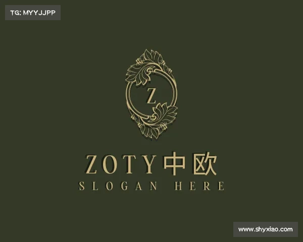 解读zoty中欧